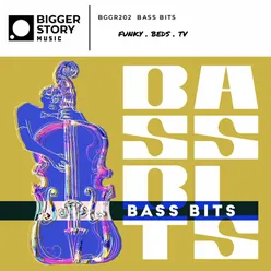 Bass Bits