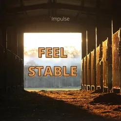Feel Stable