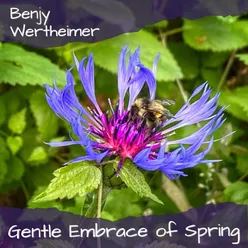 Gentle Embrace of Spring (feat. Jami Sieber, Nancy Rumbel &amp; Todd Boston)