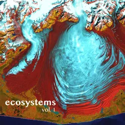Ecosystems Vol. 1