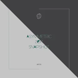 Asymmetric 2017 Snapshot