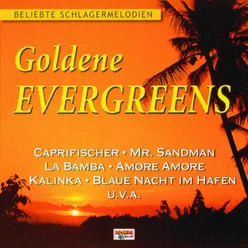 Goldene Evergreens