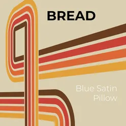 Blue Satin Pillow