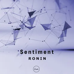 Sentiment Vernon Bara Remix