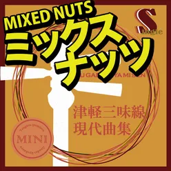 Tsugaru Jamisen Gendaikyokusyuu Single Mixed Nuts