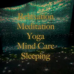 Relaxation Meditation Yoga Mind Care Sleeping