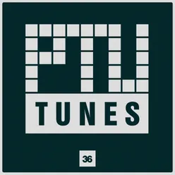 Ptu Tunes, Vol. 36