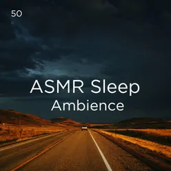 50 ASMR Sleep Ambience