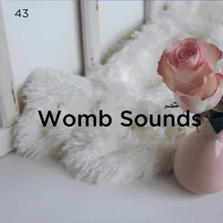 Sounds Of The Womb