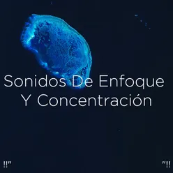 !!" Sonidos De Enfoque Y Concentración "!!