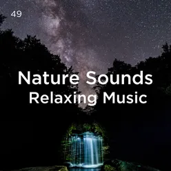 49 Nature Sounds Relaxing Music