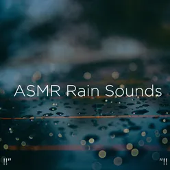 Zen Sounds Of Rain
