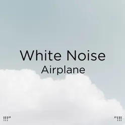 !!!" White Noise Airplane  "!!!