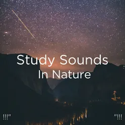 !!!" Study Sounds In Nature "!!!