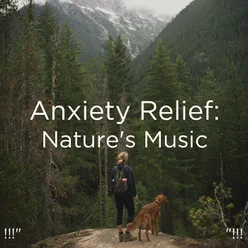 !!!" Anxiety Relief: Nature's Music "!!!