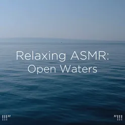 Relaxing Ocean Sounds