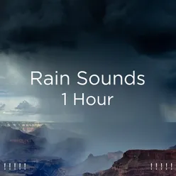 ! ! ! ! ! Rain Sounds 1 Hour ! ! ! ! !