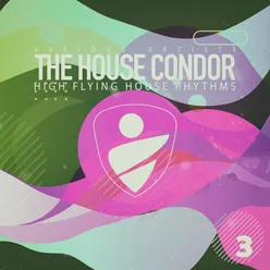 The House Condor, Vol. 3
