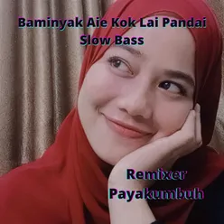 Baminyak Aie Kok Lai Pandai (Slow Bass)