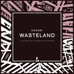 Wasteland Following Light Remix