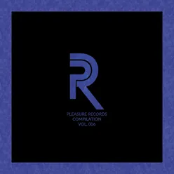 Pleasure Records Compilation, Vol. 6