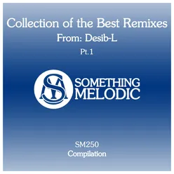 Collection of the Best Remixes From: Desib-L, Pt. 1