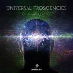 Universal Frequencies, Vol. 13