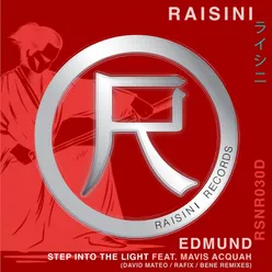 Step into the Light David Mateo &amp; Rafix Remix