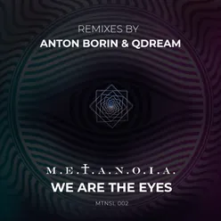We Are the Eyes Anton Borin (RU) Remix