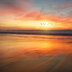 Sueños De Rocío