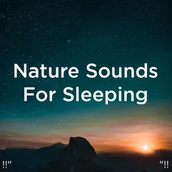 Sleep Music With Nature