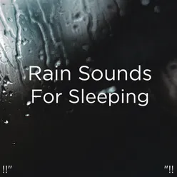!!" Rain Sounds For Sleeping "!!