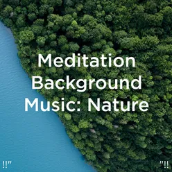 Zen Nature Sounds