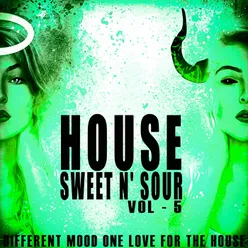House Sweet N' Sour, Vol. 5