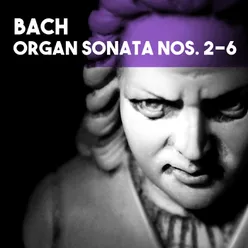 Organ Sonata No. 4 in E Minor, BWV 528: I. Adagio - Vivace