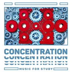 Calm Piano Sounds for Concentration