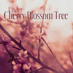 Under Cherry Blossom Tree (Japanese Flute Music and Nature Sounds to Fall Asleep Fast (Sleep Meditation Music))