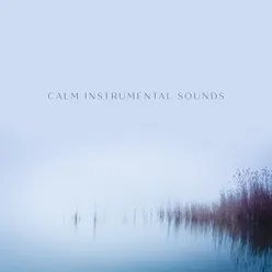 Calm Instrumental Sounds (Peaceful Hideaway and Day to Stress Free (Stay Calm))