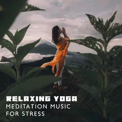 Relaxing Yoga Meditation Music for Stress Relief and Depression (Positive Energy with New Age Sounds)
