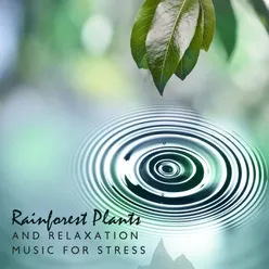 Rainforest Plants and Relaxation Music for Stress Relief (Nature Ambient Sounds)