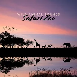 Wild Animal Sounds (Safari Zoo and African Travel (World Animal Day))