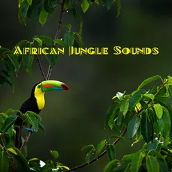 Tropical Rainforest Sounds