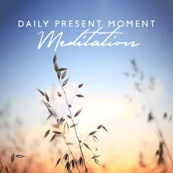 Daily Present Moment Meditation (Observe Your Body and Thoughts, Melt Into Stillness, Be Here Now with Calm Meditation Music)