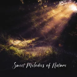 Sweet Melodies of Nature (Awakening of the Summer, Magical Melodies of Nature for Meditation and Sleep)