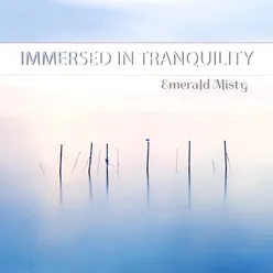 Immersed in Tranquility