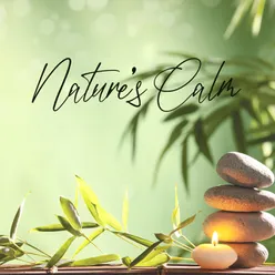 Nature’s Calm (Relaxing Sounds for Spa and Massage)