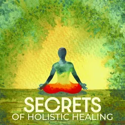 Secrets of Holistic Healing (Body and Soul Well-Being, Holistic Spa Treatment)