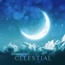 Cielo Estrellado