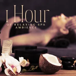 1 Hour of Relaxing Spa Ambience