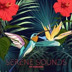 Serene Sounds of Paradise (Nature Sounds to Relax Your Mind, Anxiety Relief)